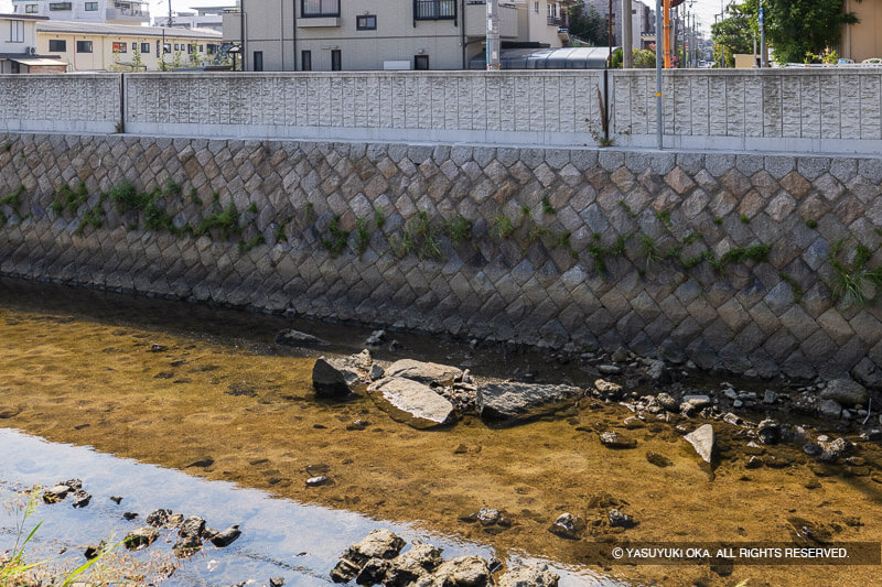 宮川河床遺跡