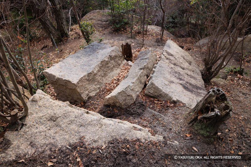 甲山森林公園展望台付近の割石