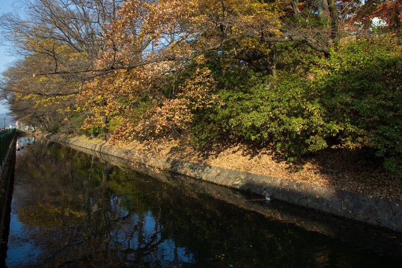 高崎城三の丸の堀と土塁