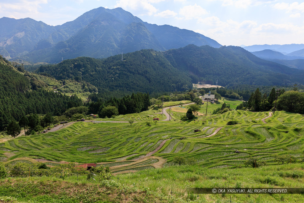 丸山千枚田