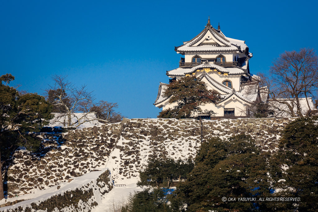 彦根城の冬景色