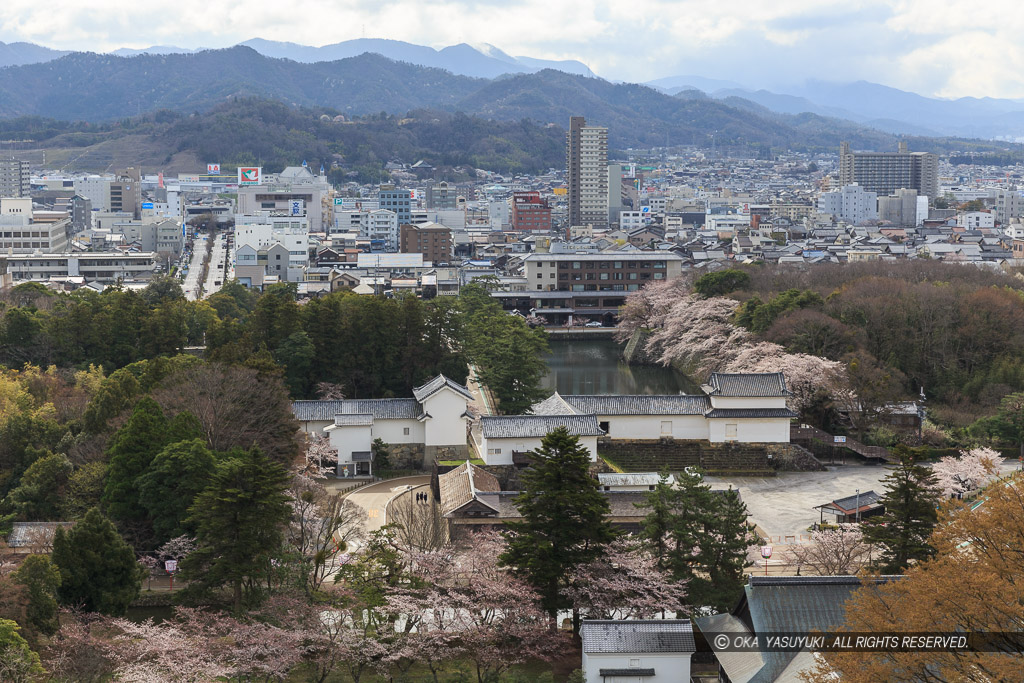 彦根城月見櫓跡から城下を望む