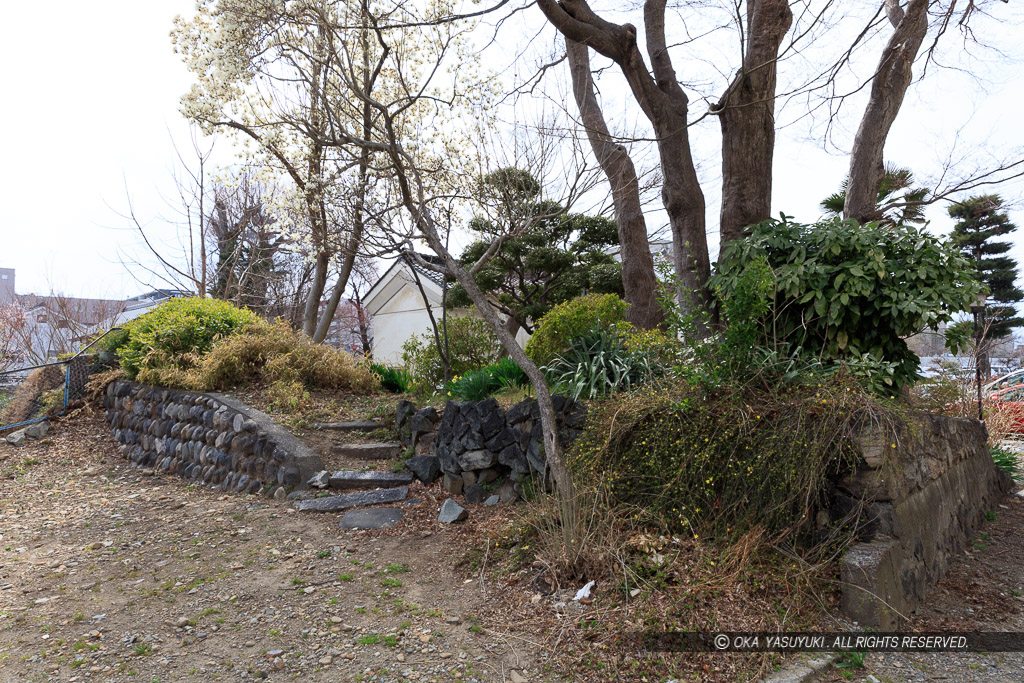 東総堀残存土塁